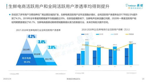 2020年中国生鲜电商发展情况行业稳步增长,资本投资更加理性
